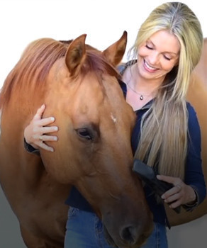 Banner Content Image: https://equi-box.co.uk/images/banner/source/All-In-One.R3wMd1yWyi.jpg?t=1620836639