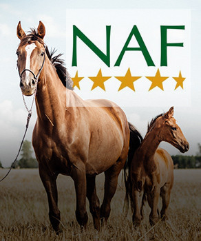 Banner Content Image: https://equi-box.co.uk/images/banner/source/NAF.X1a38RSUxD.jpg?t=1620836639