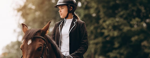 Horse & Rider