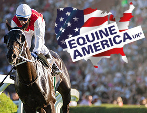 Equine America