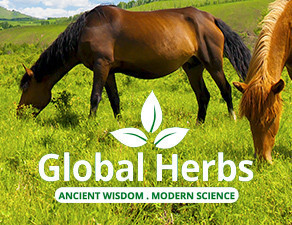 Global Herbs