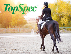 Top Spec