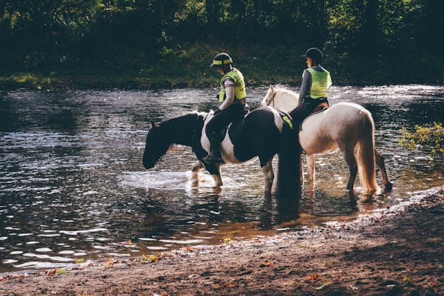 horse rider safety