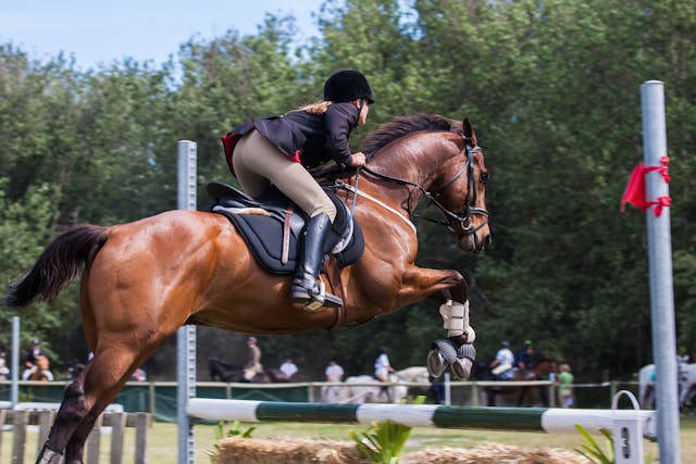 Equestrian Sports