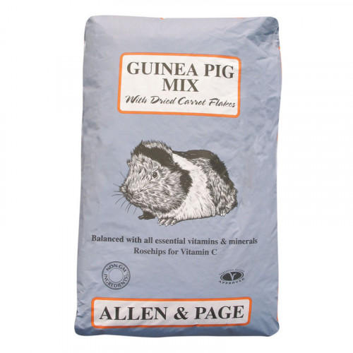 A & P Guinea Pig