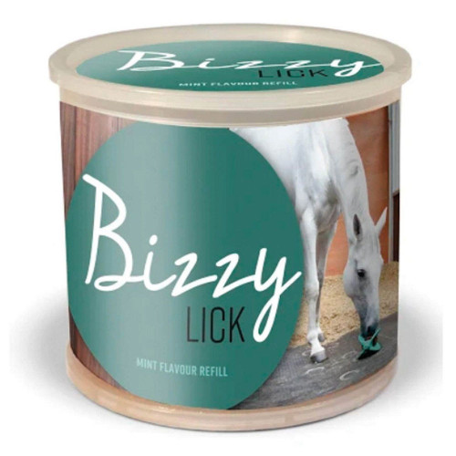 Bizzy Bites Refill Mint