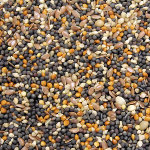 Bartholomews Canary Conditioning