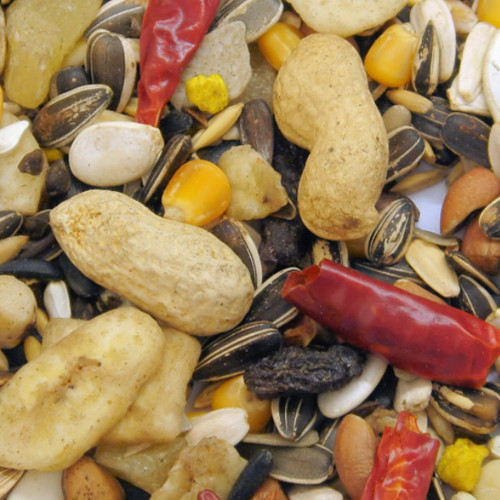 Bartholomews Parrot Delux