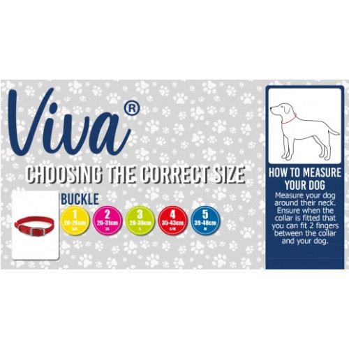 Ancol Viva Buckle Collar Black 28-36cm