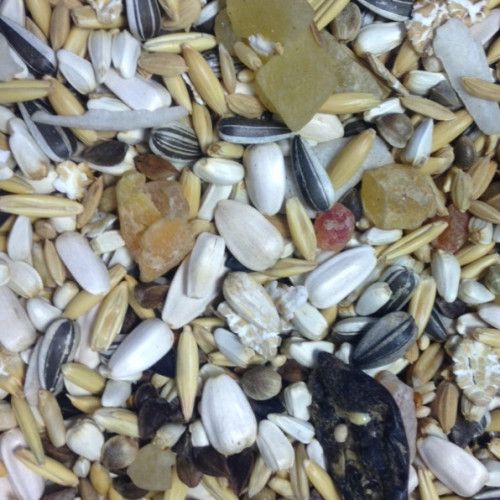 Bartholomews Avian Specific AS45