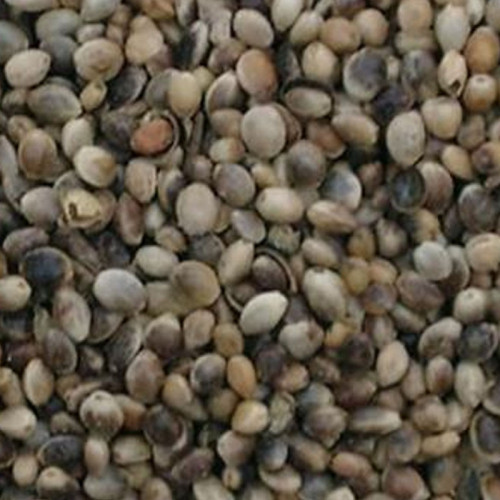 Colonel's Hemp Seed