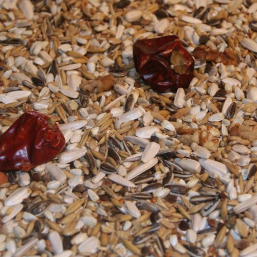 Bartholomews Avian Specific AS35