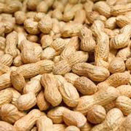 Bartholomews Peanuts in Shells
