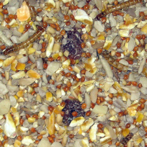 Bartholomews Robin & Songbird 15kg