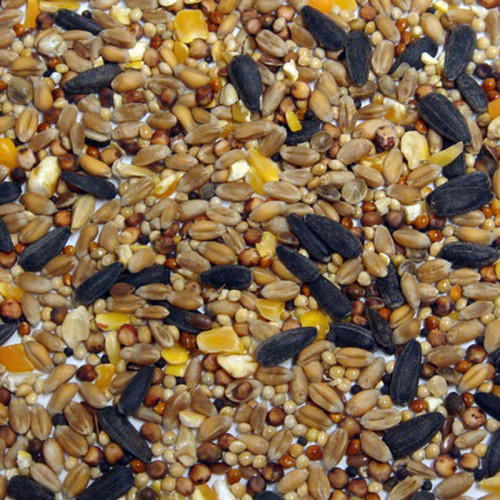 Bartholomews Xtra Wild Bird Feed