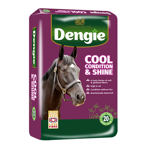 Dengie Cool, Condition & Shine 20kg