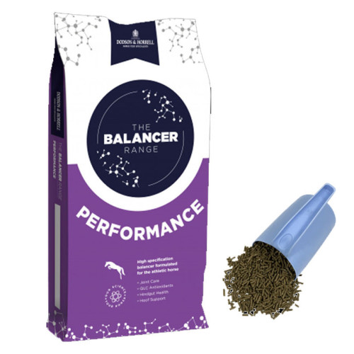 D&H Performance Balancer 15kg DODSONS