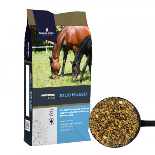 D&H Stud Muesli 20kg