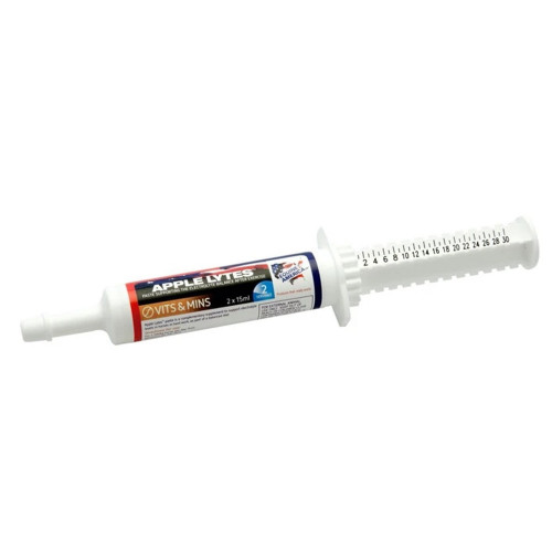 Equine America Apple Lytes Paste Syringe