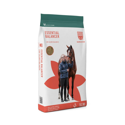 Saracen Essential Balancer