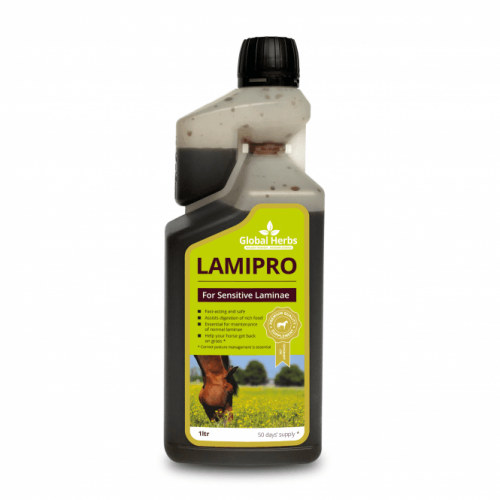 Global Herbs LamiPro Supplement 1Litre