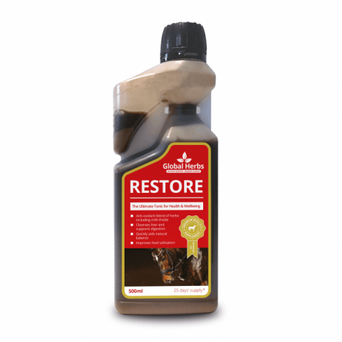 Global Herbs Restore Liquid