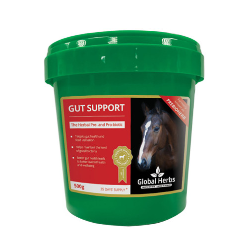 Global Herbs Gut Support