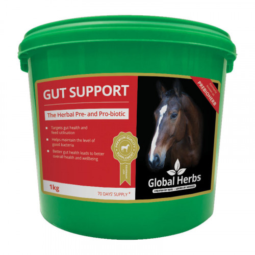 Global Herbs Gut Support 1kg