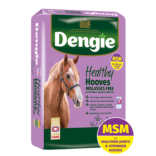 Dengie Healthy Hooves Molasses Free