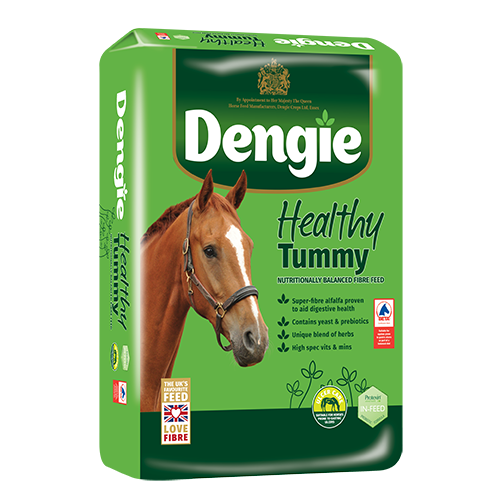 Dengie Healthy Tummy