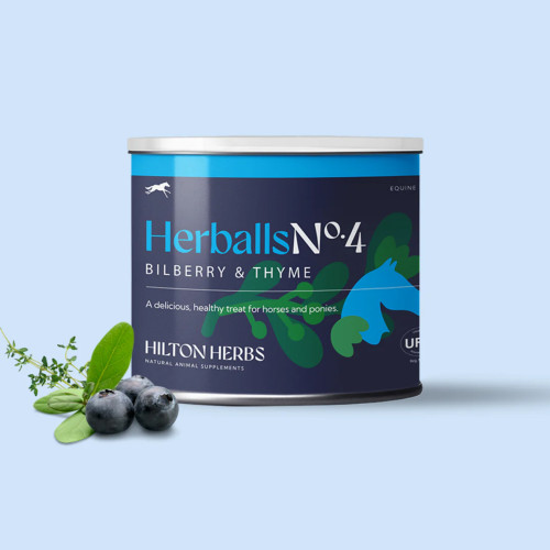 Hilton Herballs No.4 Bilberry & Thyme TreatsTub 250g