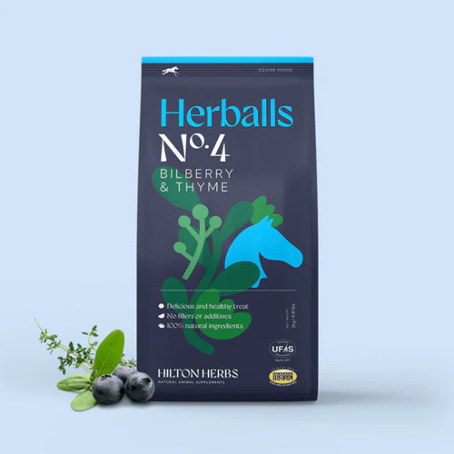 Hilton Herballs No.4 Bilberry & Thyme Treats 1kg