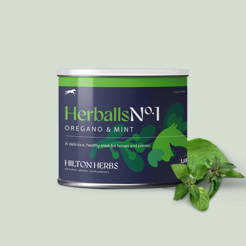 Hilton Herballs No.1 Oregano & Mint Treats Tub 250g
