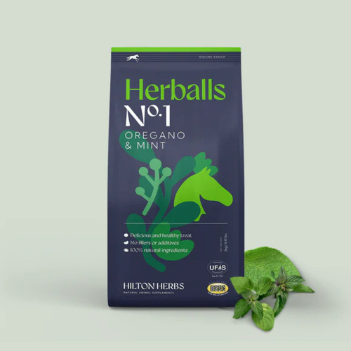 Hilton Herballs No.1 Oregano & Mint 2KG