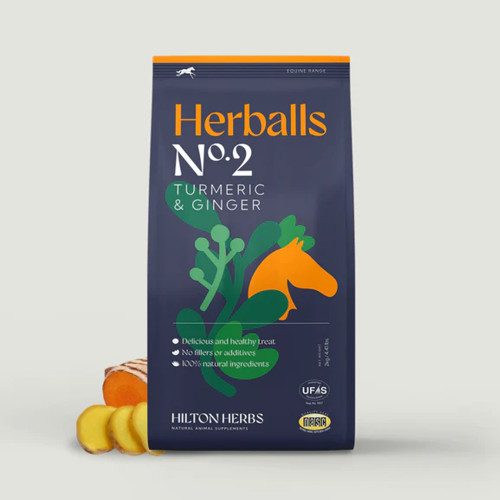 Hilton Herballs No.2 Turmeric & Ginger Treats 1kg