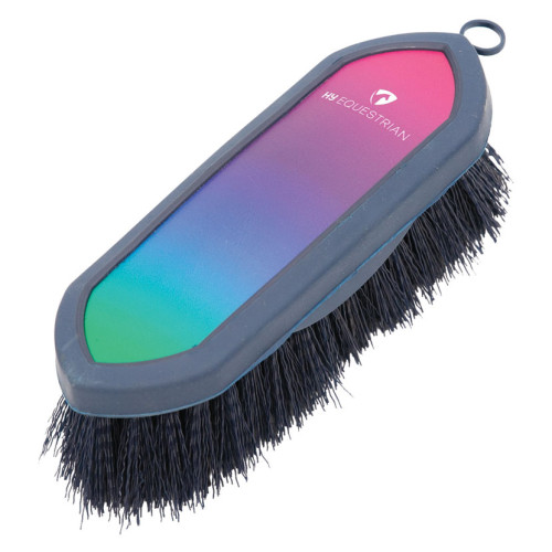 HY Equestrian Ombre Dandy Brush Vbrant