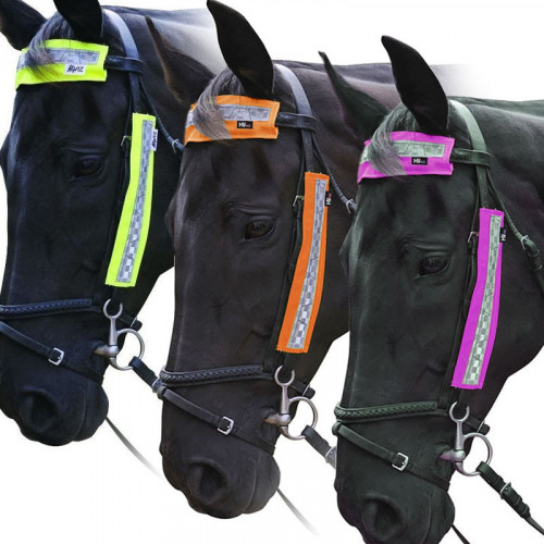 HyViz Bridle Set Pink