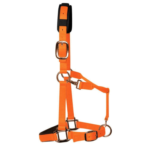 KM Elite Head Collar Cob Hot Orange Medium