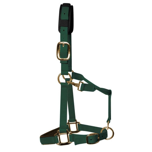 KM Elite Head Collar Cob Hunter Green Medium