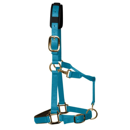 KM Elite Head Collar Pony Pastel Blue XS