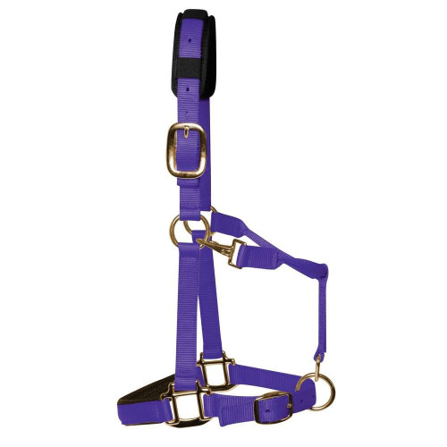 KM Elite Head Collar Full Purple Large