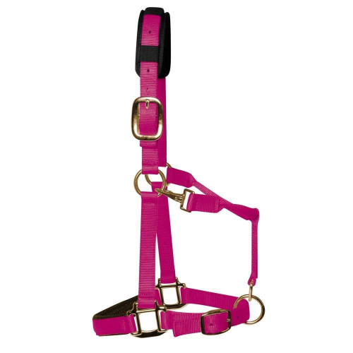KM Elite Head Collar Cob Raspberry Medium