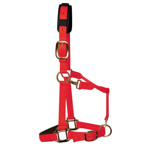 KM Elite Head Collar Pony Red XS