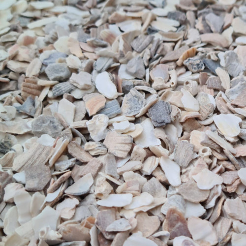 Oyster Shell STANDARD GRADE
