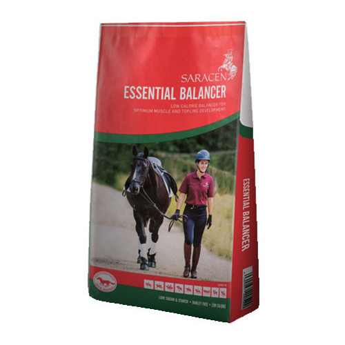 Saracen Essential Balancer