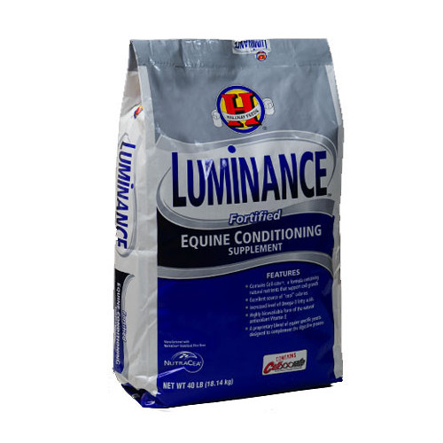 Saracen Luminance 18kg