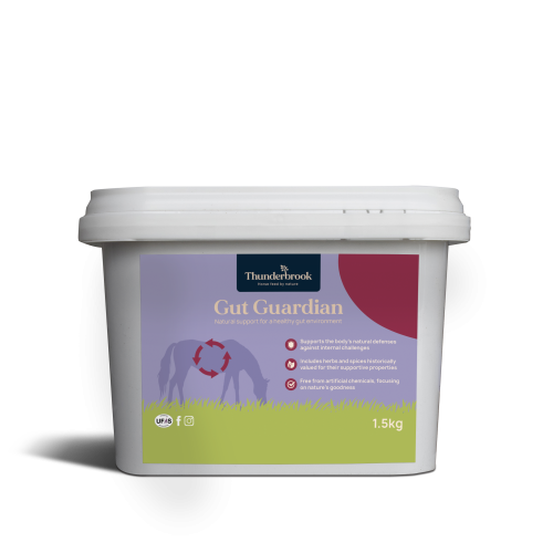Thunderbrook Gut Guardian 1.5kg (Formally Verm Cleanse)