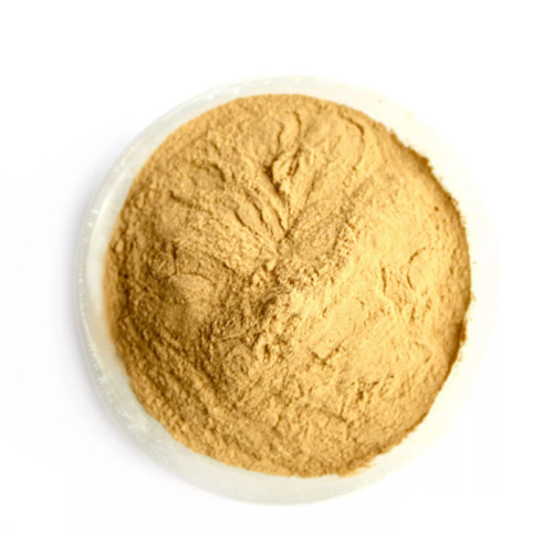 Thunderbrook Nutritional Yeast Extract (Fractionated) 1kg