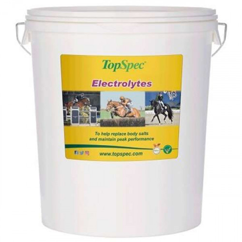 Topspec Electrolytes 20kg