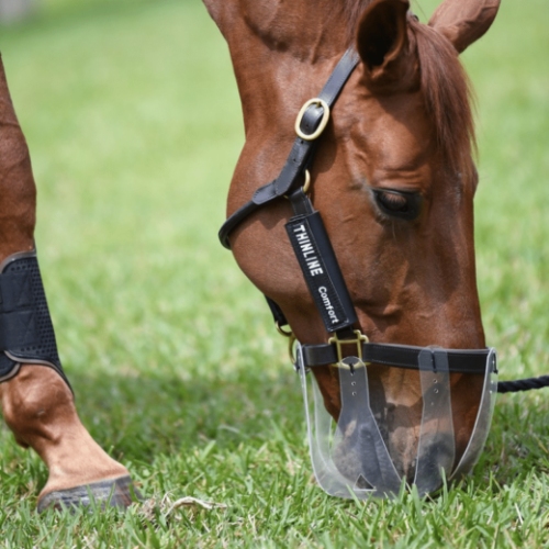 Thinline Grazing Muzzle Small Grazing Hole 2.5cm